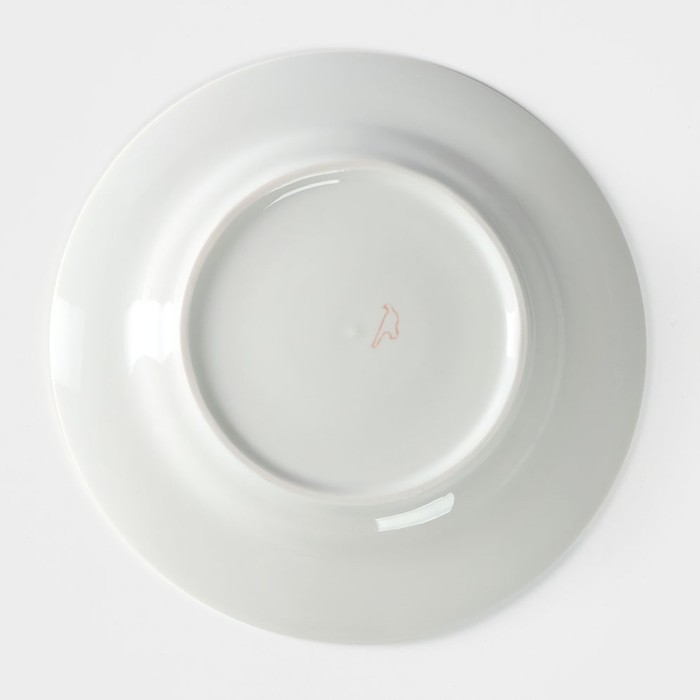 Набор посуды фарфоровой «Зоопарк»», 3 предмета: тарелка d=20 см, салатник d=19,8 см, кружка 200 мл - фото 1907049954