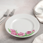 Тарелка фарфоровая «Розовые тюльпаны», d=20 см, белая - Фото 2