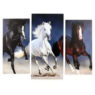 Модульная картина "Три резвых коня" (2-25х50, 30х60см) 60х80 см - фото 301096661
