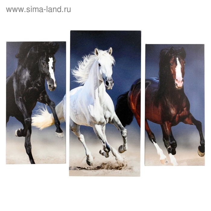 Модульная картина "Три резвых коня" (2-25х50, 30х60см) 60х80 см - Фото 1