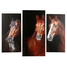 Модульная картина "Три лошадки" (2-25х50, 30х60см) 60х80 см - фото 8900798