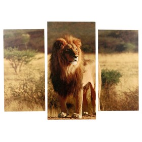Модульная картина "Король саванны" (2-25х50, 30х60 см) 60х80 см