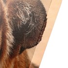 Модульная картина "Тигр у воды" (2-25х50, 30х60 см)  60х80 см - фото 24473592