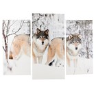 Модульная картина "Волки в снегу" (2-25х50, 30х60 см) 60х80 см - фото 318255413