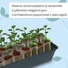 Ящик для рассады, 50×15×10 см, 5 л, пластик, чёрный, «Урожай-5» - Фото 4