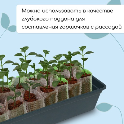 Ящик для рассады, 50×15×10 см, 5 л, пластик, чёрный, «Урожай-5»