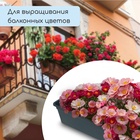 Ящик для рассады, 50×15×10 см, 5 л, пластик, чёрный, «Урожай-5» - Фото 5