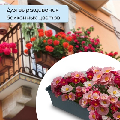 Ящик для рассады, 50×15×10 см, 5 л, пластик, чёрный, «Урожай-5»