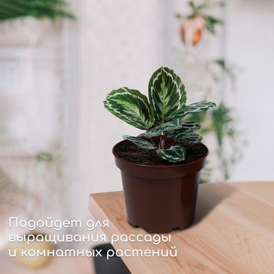 Горшок для рассады, 3 л, d=19 см, h=15 см, МИКС, Greengo
