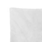 Набор подушек «Экономь и Я», 50×50 см - 2 шт., чехол спанбонд, 250 г - Фото 2