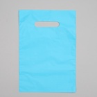 Пакет полиэтиленовый, с вырубной ручкой, однотонный голубой, 20×30, 33 мкм - фото 67924127