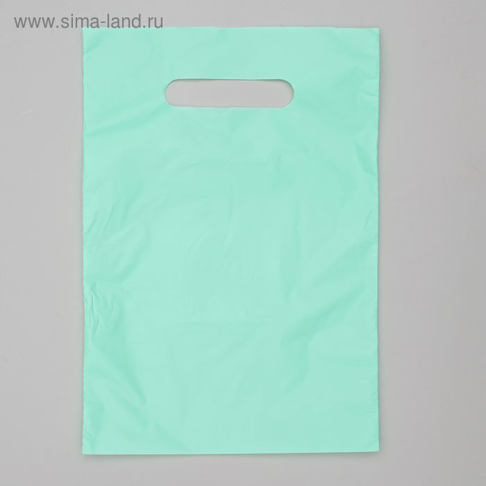 Пакет полиэтиленовый, с вырубной ручкой, тиффани, 20×30, 33 мкм - Фото 1