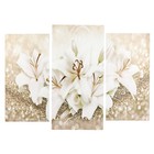 Модульная картина "Белые лилии" (2-25х50, 30х60см) 60х80 см - фото 8901129