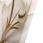Модульная картина "Белые лилии" (2-25х50, 30х60см) 60х80 см - Фото 2
