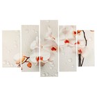 Модульная картина "Ветка орхидеи" (2-25х50, 2-25х67, 25х80 см) 80х140 см - фото 301096688