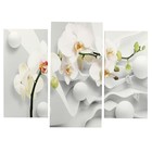 Картина модульная на подрамнике "Ветка Орхидеи" (2-25х50, 30х60 см) 80х60 см - фото 8901175