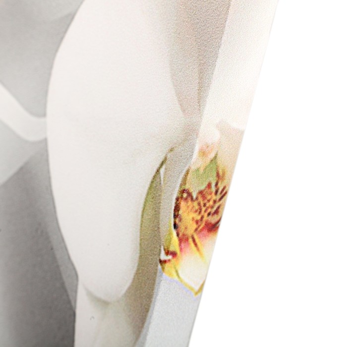 Картина модульная на подрамнике "Ветка Орхидеи" (2-25х50, 30х60 см) 80х60 см - фото 1893832449