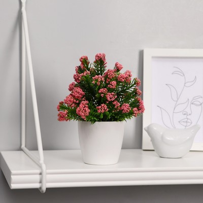 Цветок искусственный в горшке «Озотамнус», 6×16 см, МИКС