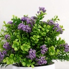 Искусственный цветок в горшке «Озотамнус в листве», 8×16 см, МИКС - Фото 2