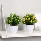 Искусственный цветок в горшке «Озотамнус в листве», 8×16 см, МИКС - Фото 4