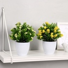 Искусственный цветок в горшке «Озотамнус в листве», 8×16 см, МИКС - Фото 5