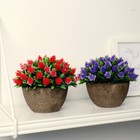 Искусственный цветок в горшке «Многослойные бутоны», 13×11 см, МИКС - Фото 3