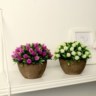 Искусственный цветок в горшке «Многослойные бутоны», 13×11 см, МИКС - Фото 5