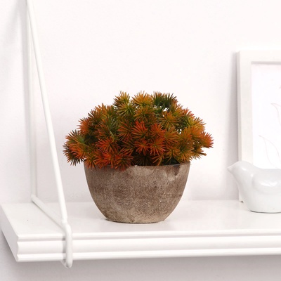 Бонсай в горшочке "Пушистые колючки" 13х11 см, микс