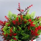 Бонсай в горшке "Куфея пышная" 10*20 см, микс - фото 24377104