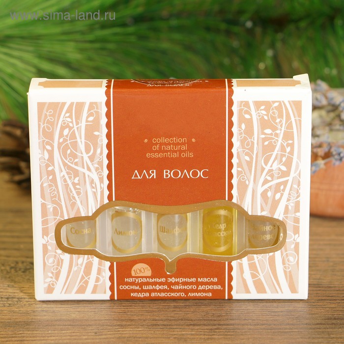 Набор эфирных масел "Для волос", 5 шт: сосна, шалфей, чайное дерево, кедр, лимон х 2 мл - Фото 1