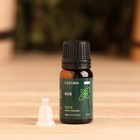 Эфирное масло "Мята" 10 мл - Фото 2