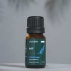 Эфирное масло Розмарина в индивидуальной упаковке 10 мл - Фото 2