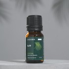 Эфирное масло "Сосновое" в индивидуальной упаковке, 10 мл - Фото 2