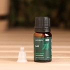 Эфирное масло "Эвкалипт" 10 мл - Фото 2