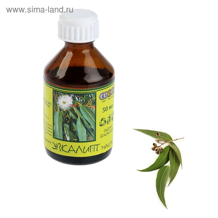 Эфирное масло Эвкалипта 50 мл - Фото 1