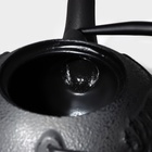 Чайник Доляна «Чёрный тигр», 700 мл, с ситом, эмалированное покрытие внутри, индукция, чугун, чёрный - Фото 4