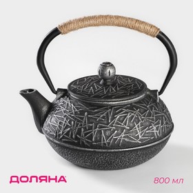 Чайник Доляна «Хрома», с ситом, 800 мл, эмалированное покрытие внутри