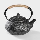 Чайник чугунный Доляна «Хрома», 800 мл, с ситом, эмалированное покрытие внутри, цвет серый - фото 4599393