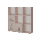 Стеллаж для детской комнаты ДМ9 млечный дуб с фотопечатью  (артикул 4664017)  большой выбор товаров оптом и в розницу по низким ценам с доставкой