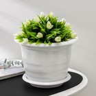 Горшок для цветов с поддоном «Виола», 3,5 л, пластиклвый, белый - Фото 1