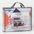 Покрывало Экономь и Я евро «Геометрия», 200х210±5 см, микрофайбер - Фото 4