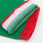 Носки женские «Мороз красный нос», цвет зелёный, размер 23-25 - Фото 3