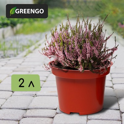 Горшок для рассады, 2 л, d=17 см, h=13 см, терракот, Greengo