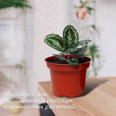 Горшок для рассады, 2 л, d=17 см, h=13 см, терракот, Greengo