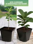 Горшок для рассады, 5 л, 18.5×18.5×20 см, пластик, МИКС, Greengo - Фото 3