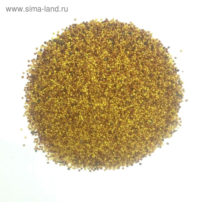 Как выглядят семена клевера фото Как выглядят семена клевера фото