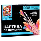 Картина по номерам на холсте с подрамником «Корги с игрушкой», 40×50 см - Фото 4