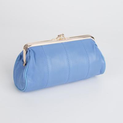 Косметичка-фермуар, 2 отдела на рамке, наружный карман, цвет голубой