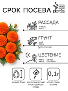Семена цветов Бархатцы прямостоячие «Оранжевый принц», О, 0.1 г - Фото 2