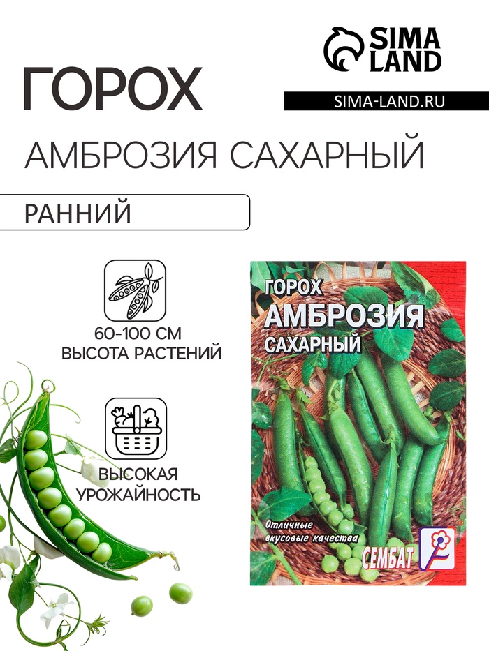 Семена Горох «Амброзия сахарный», 10 г, «Сембат» - Фото 1